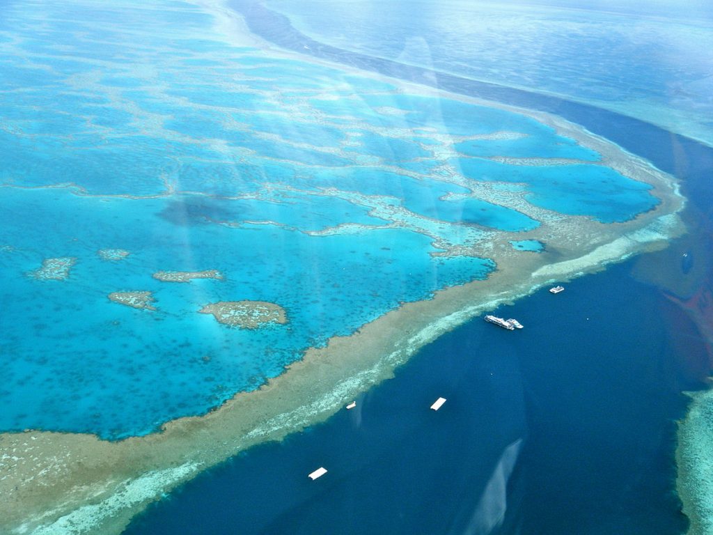 "Amazing Great Barrier Reef" by Sarah_Ackerman - Wikipedia